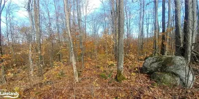 0 OLD FORESTRY Road, Parry Sound Remote Area, ON P0H 2L0