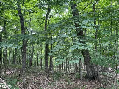 297 WEST POINT SANDS Road, Huntsville, ON P1H 2J3