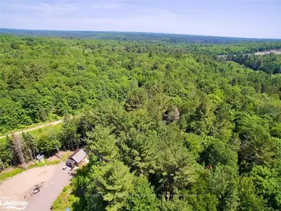 2239 LONE PINE Drive, Huntsville, ON P0B 1L0