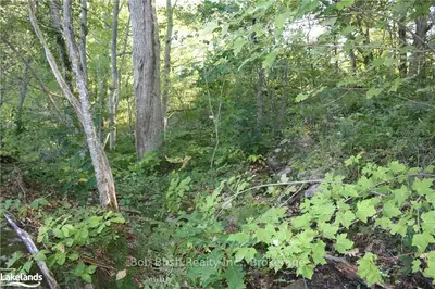 5622 550, Georgian Bay, ON, P0E 1E0