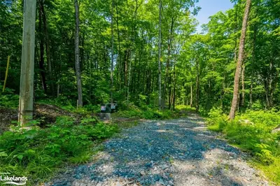 68 HAINES LAKE Road, McDougall, ON P0G 1C0