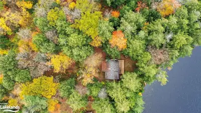 1014 SOUTH TOAD LAKE Road, Lake of Bays, ON P1H 2J6