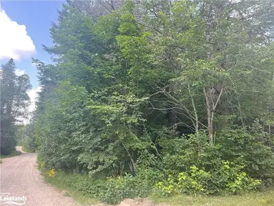 LOT 28 ROYSTON Road, Ryerson, ON P0A 1C0