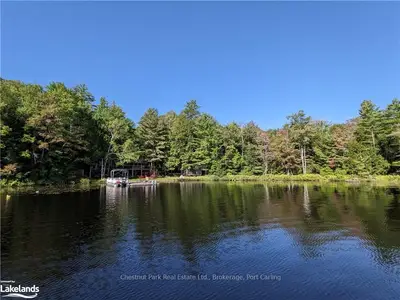 258 NINE MILE LAKE, Muskoka Lakes, ON, P0C 1M0