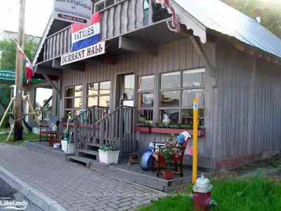 88 BOBCAYGEON Road, Minden Hills, ON K0M 2K0