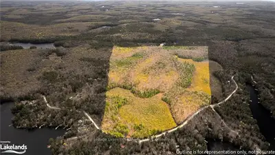 1356 Dickie Lake Road, Lake of Bays, ON P0B 1A0