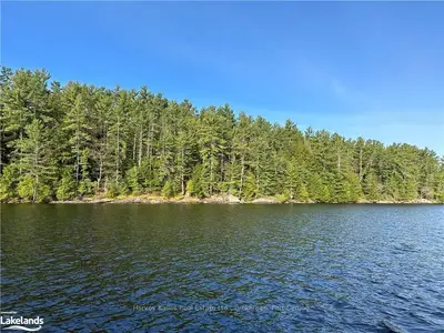 4 HORSESHOE, Muskoka Lakes, ON, P0B 1J0