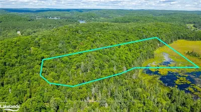 0 DILLMAN Trail, Highlands East, ON K0L 2Y0