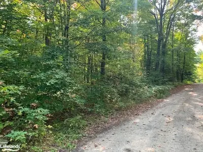 115 HUNTS Road, Huntsville, ON P1H 2J4