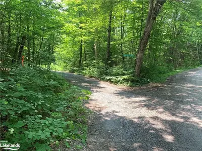 0 SHAWANAGA LAKE Road, Whitestone, ON P0A 1G0