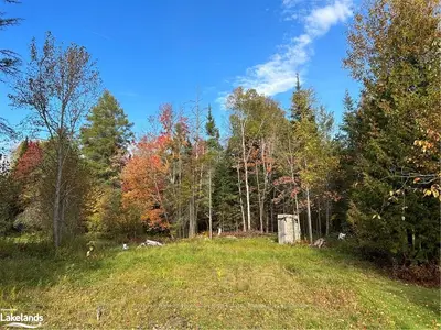 19 BELMONT Street, Sundridge, ON P0A 1Z0