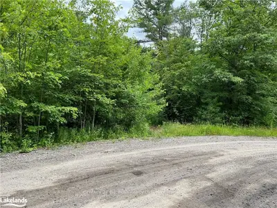 PART LOT 10 CORDUROY Road, Muskoka Lakes, ON P1P 1R2