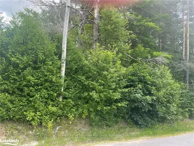 0 ALBERT Street, Sundridge, ON P0A 1Z0
