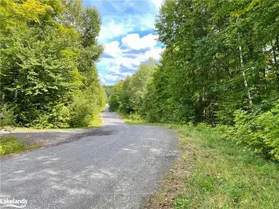 0 Brown Lane, Parry Sound Remote Area, On P0h 1s0
