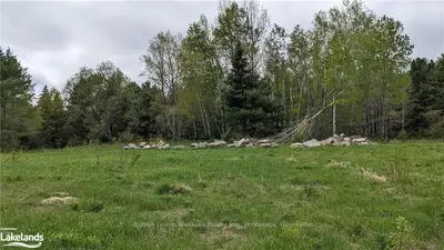 78 CHAFFEY TOWNSHIP Road, Huntsville, ON P1H 1C8