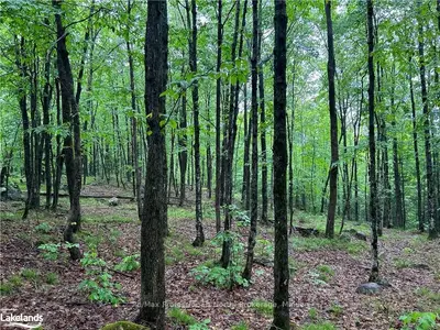 1340 GLAMOR LAKE Road, Highlands East, ON K0M 1R0