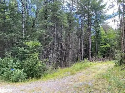 2259 LONE PINE Drive, Huntsville, ON P0B 1L0