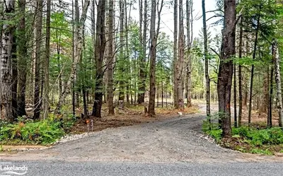 0 DWIGHT BEACH Road Lot 2, Lake of Bays, ON P0A 1H0