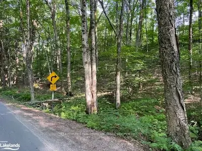 1655 MUSKOKA BEACH Road, Bracebridge, ON P1B 1B5