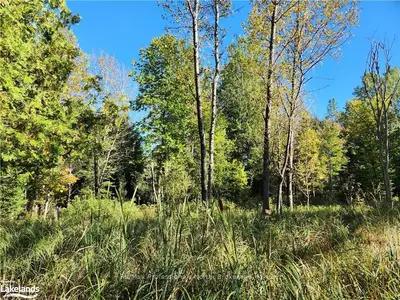 0 REYNOLDS Road, Minden Hills, ON K0M 2K0