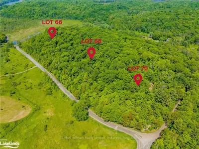 66 HAINES LAKE Road, McDougall, ON P2A 2B3
