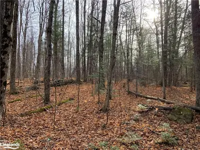 0 MAWS HILL Road, Huntsville, ON P1H 2N5
