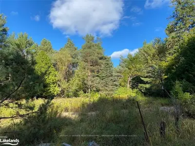 1925 KENNISIS LAKE Road, Dysart et al, ON K0M 2S0
