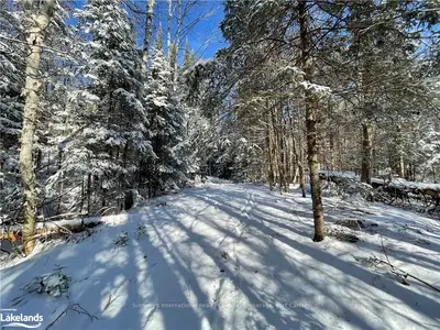 5065 ASPDIN Road, Muskoka Lakes, ON P0B 1M0