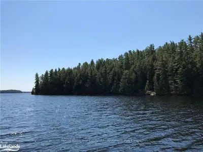 2 HORSESHOE, Muskoka Lakes, ON, P0B 1J0