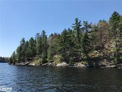 1 HORSESHOE, Muskoka Lakes, ON, P0B 1J0