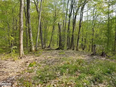 LOT 4A WHITES Road, Muskoka Lakes, ON P0B 1J0