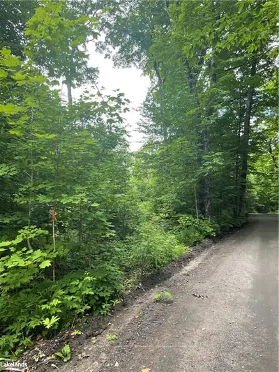 0 CHELSEA Lane, Algonquin Highlands, ON K0M 1J1