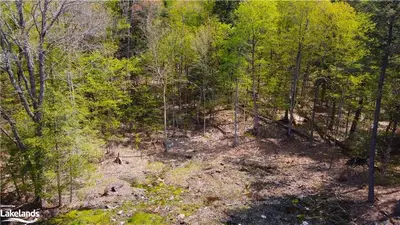 0 Lindgren Road E, Huntsville, On P1h 1y6