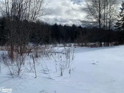 1404 SOUTH HORN LAKE Road, Ryerson, ON P0A 1C0