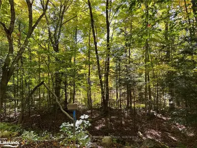 0 WINDERS BAY Road, Lake of Bays, ON P0A 1A0