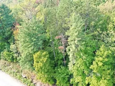 0 FALKENBURG Road, Bracebridge, ON P1L 1X4