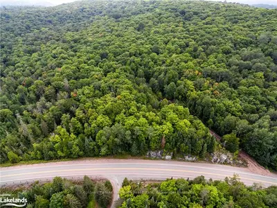24025 HIGHWAY 35, Lake of Bays, ON, P0A 1H0