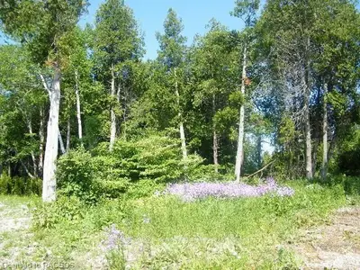 197 Birchwood Avenue, Kincardine, On N0g 2t0