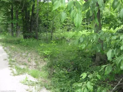 Part Lot 25 Concession 24, Northern Bruce Peninsula, On, N0h 2t0