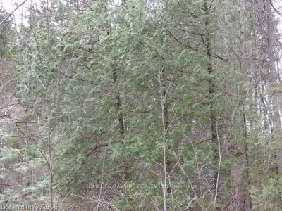 Part Lot 12 Concession 24, Georgian Bluffs, On, N0h 2t0