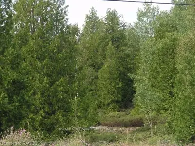 Lot 26 Concession 3 Highway 6, Northern Bruce Peninsula, On, N0h 2r0