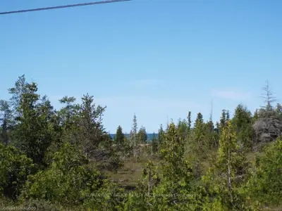 Lot 207 Dorcas Bay Road, Northern Bruce Peninsula, On N0h 2r0