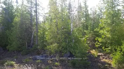 Part Lot 16 Larsen Cove Road S, Northern Bruce Peninsula, On N0h 1z0