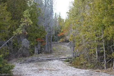 Lot 63 Mcivor Road, Northern Bruce Peninsula, On N0h 1z0
