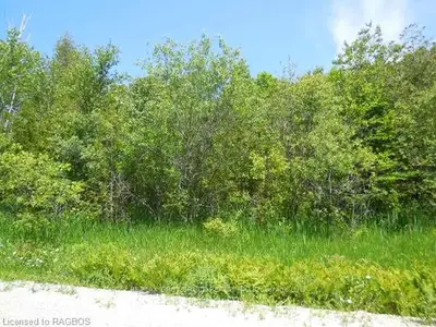 Part Lot 35, Part 52 Henwood Street, Northern Bruce Peninsula, On N0h 1w0
