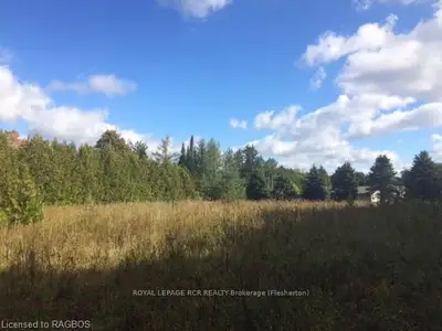 Lot 13 Saugeen Street, Grey Highlands, On N0c 1k0