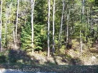Part 69 Murray Avenue, Northern Bruce Peninsula, On N0h 1w0