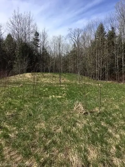 16 Morning Hill Road, Northern Bruce Peninsula, On N0h 2t0