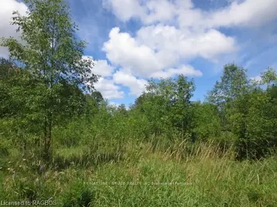 Part Block E To F Everett Road, South Bruce Peninsula, On N0h 2t0
