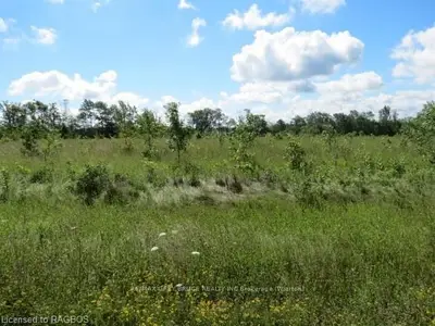 Lot 15 Patterson Parkway, Georgian Bluffs, On, N0h 2t0